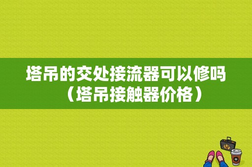 塔吊的交处接流器可以修吗（塔吊接触器价格）