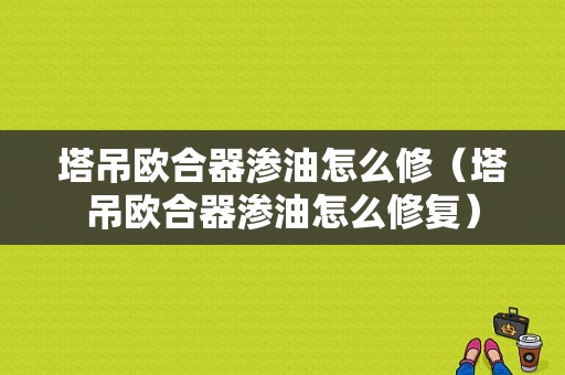 塔吊欧合器渗油怎么修（塔吊欧合器渗油怎么修复）-图1