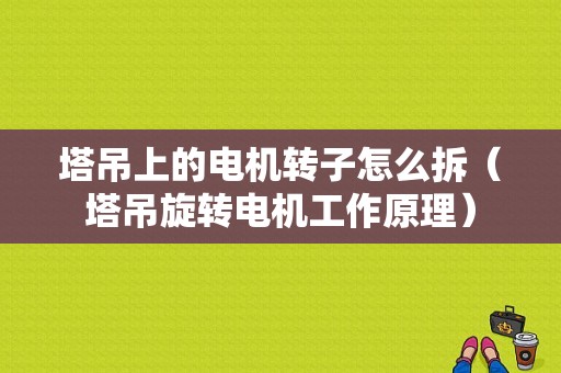 塔吊上的电机转子怎么拆（塔吊旋转电机工作原理）-图1