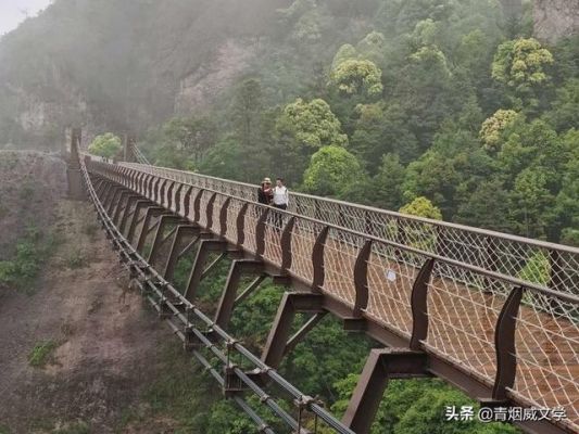 神仙居山顶塔吊拆了没（神仙居吊桥叫什么桥）-图1