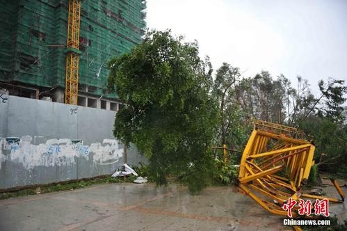 塔吊司机刮风视频（塔吊被风刮倒）-图3